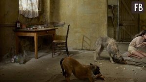 Оксана Малая: как сложилась жизнь девочки, воспитанной собаками в 90-х. Ей сейчас 35 лет