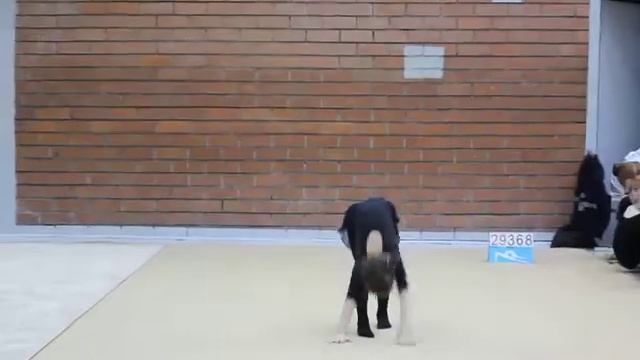 Принцесса спорта. 10 шагов к совершенству. Весна 2017. билет 29368 смотреть онлайн