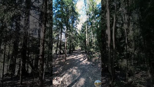 Река Зимёнка — уникальное природное место