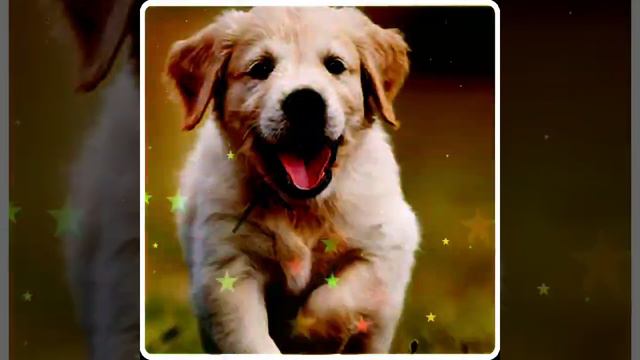 tere jaisa yaar kaha flute ringtone || best flute ringtone || new bansuri ringtone