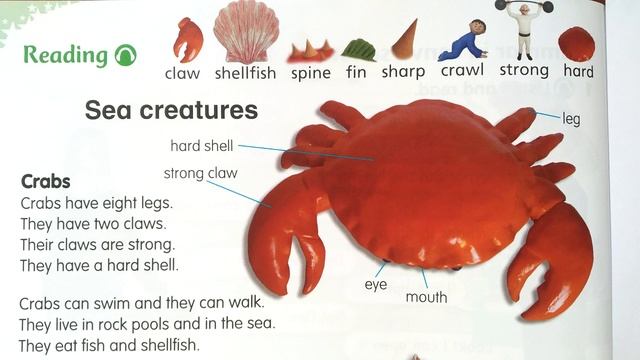 English World 2 - Unit 10 Pupil's Book смотреть онлайн