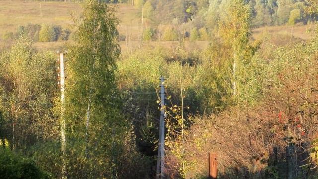 Осенняя грусть (Мишель Легран)  Блюз Саксофон музыка для отдыха и души