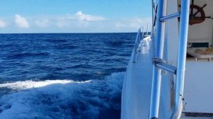 Морская рыбалка на Кубе