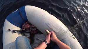 Рыбалка в Карелии 2022. Проверка Сетей!!!