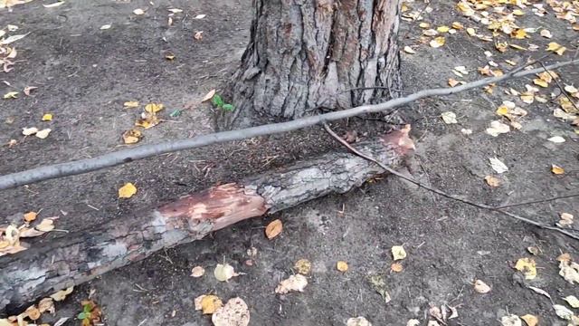 КАК СДЕЛАТЬ ЗАБОР| Дача смотреть онлайн