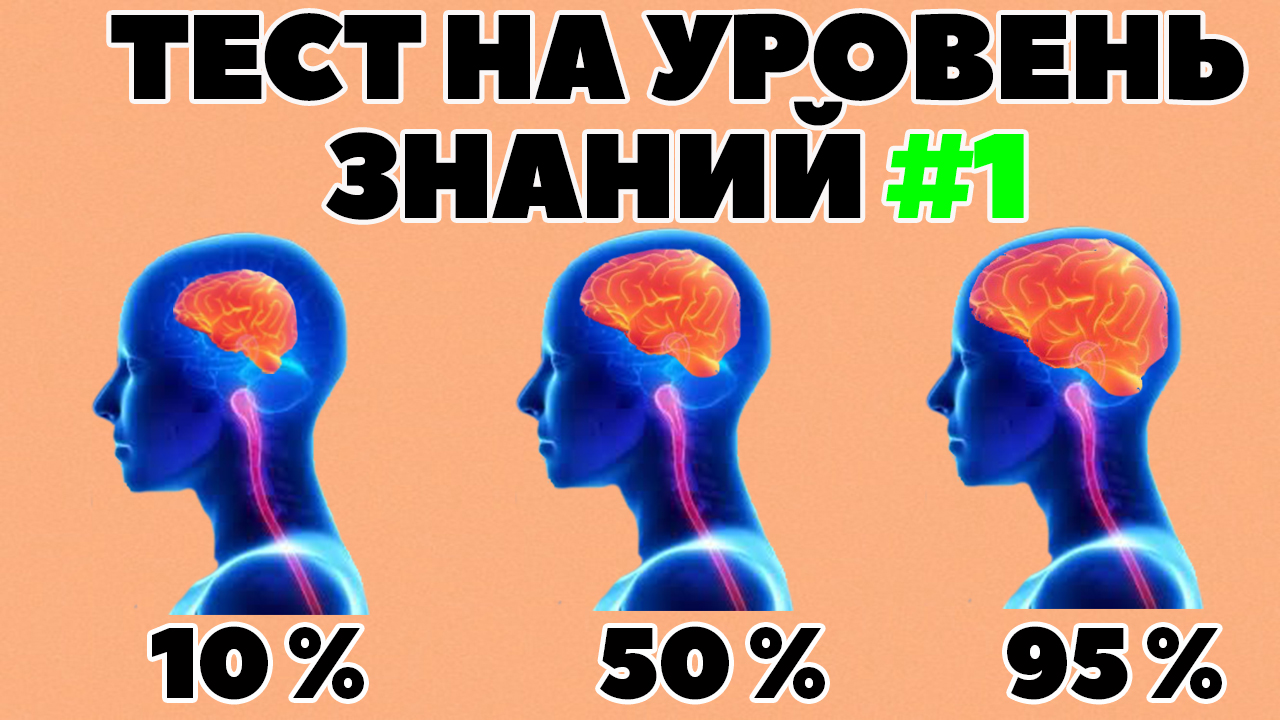 ТЕСТ НА УРОВЕНЬ ЗНАНИЙ #1.mp4