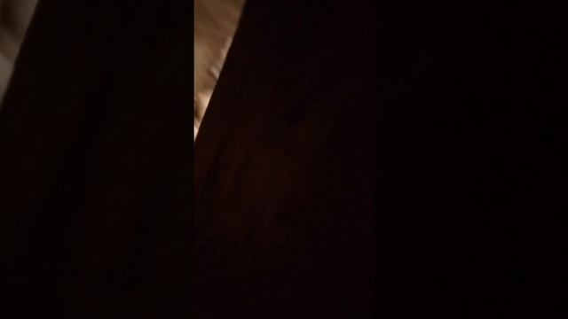 как поживают куры смотреть онлайн