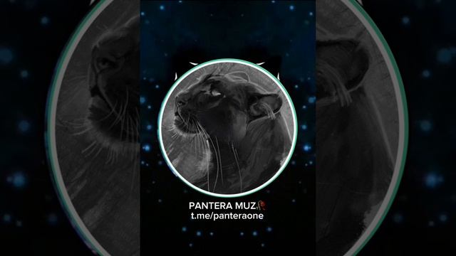 Panteramuz