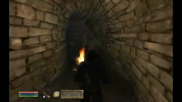 Oblivion (Тёмное Братство) - Яд для Родерика.mpg