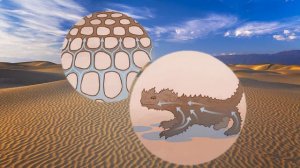 Ящерица Молох или "колючий дьявол". Как эта ящерица добывает воду в пустыне?