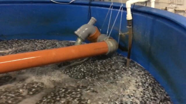 УЗВ/Изготавливаем самый Бюджетный вариант УЛЬТРАФИОЛЕТОВОЙ лампы (стерилизатор) для воды.