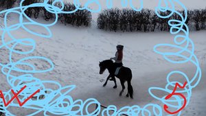 Как девочка справляется с упрямой лошадью