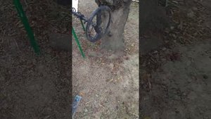 Maarifləndirici test. Minelab Sovereign GT