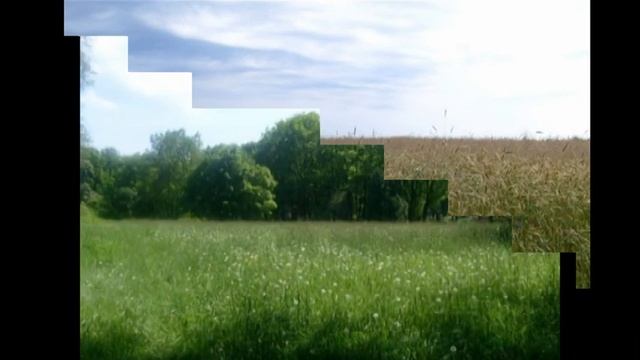 Фотоконкурс "Как прекрасен этот мир" смотреть онлайн