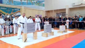 Тамешивари. Показательные выступления 10.05.2015 г.