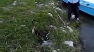 Красноярский край рыбалка, Вот где много рыбалки!