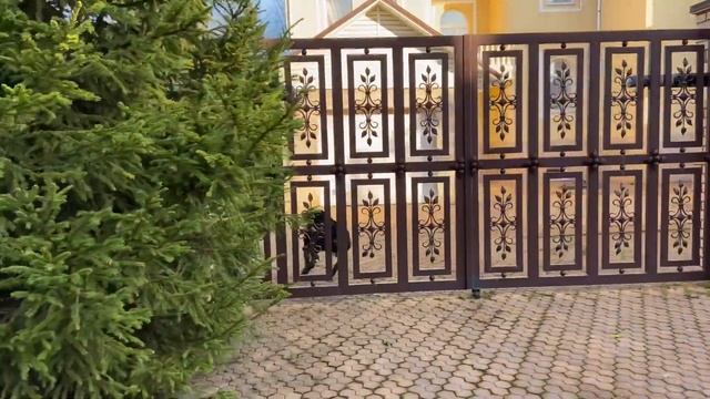 Посёлок Новые Ржавки и местные собаки/Прогулка с Немецким Боксёром смотреть онлайн