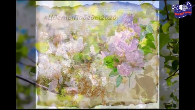 Рубрика «Календарь праздников». Цветочное настроение. смотреть онлайн