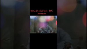 Илья Мечников. Кишечник