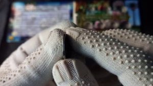 Животные и растения на монетах мира / Моя коллекция монет