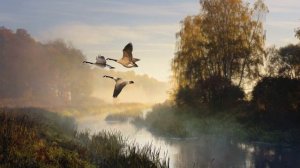 А НАД РЕЧКОЙ ТУМАН - ОЧЕНЬ ДУШЕВНАЯ, КРАСИВАЯ ПЕСНЯ...