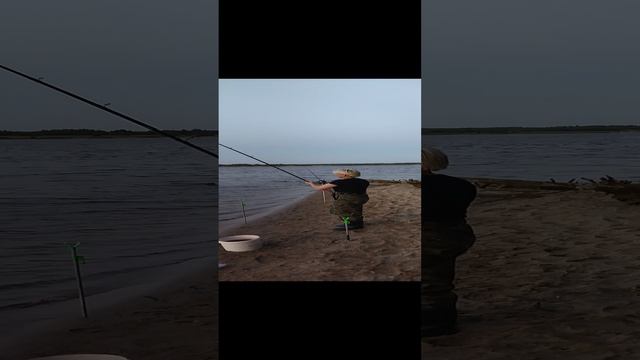 Учимся ловить на фидер. смотреть онлайн