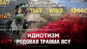 Идиотизм - родовая травма ВСУ. Фронтовая сводка 28.08 - 4.09