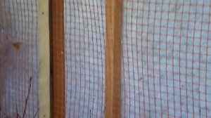 птицы урала