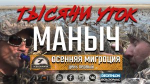 Тысячи уток. Осенняя миграция уток 2019.