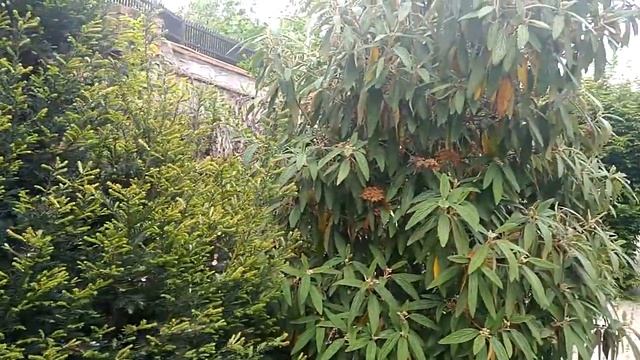 Малоизвестные места города Кишинёва смотреть онлайн