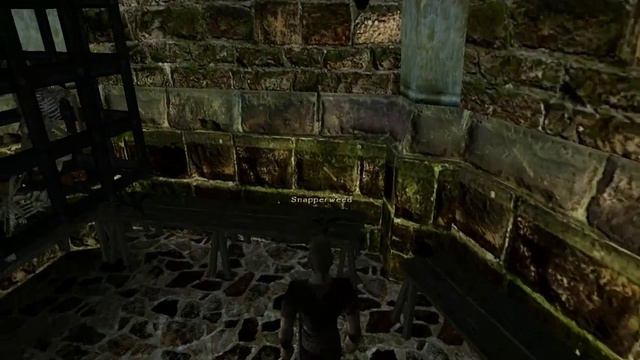 CDune Gothic II Walkthrough - 2 (Xardas) смотреть онлайн