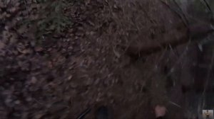 Охота на вальдшнепа! Вечерняя тяга вальдшнепа Ч.2