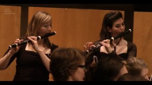 C.P.E. Bach "Symphony No. 1 in D - Allegro di molto" The New Dutch Academy