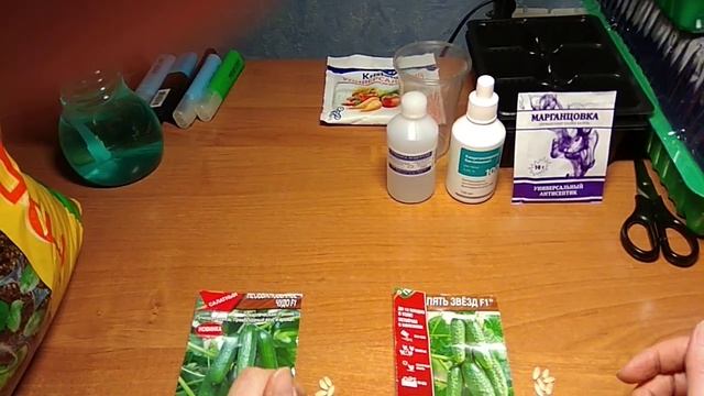ПОСАДКА СЕМЯН ОГУРЦОВ? НА РАССАДУ. ПРЕДПОСЕВНАЯ ОБРАБОТКА СЕМЯН ОГУРЦОВ.