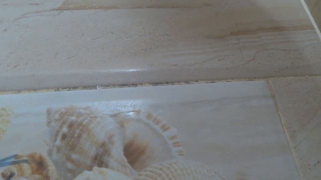 Удаление плесени с межплиточных швов в ванной смотреть онлайн