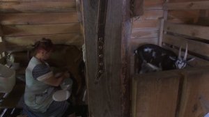 Дауншифтинг по-деревенски