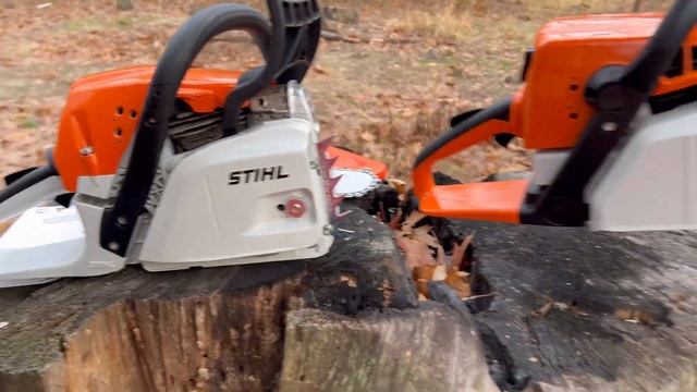 Бензопила STIHL MS 230,250 & STIHL MS 231,251 Чем они отличаются друг от друга??? смотреть онлайн
