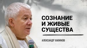 Человеческое сознание. Александр Хакимов