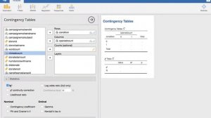 Conducting a Chi Square Test in Jamovi