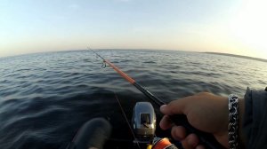 Рыбалка на Рыбинском водохранилище с лодки. Ловля щуки на джиг в сентябре. Осень на Рыбинке.