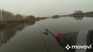 Ловля уклейки осенью на поплавочную удочку.