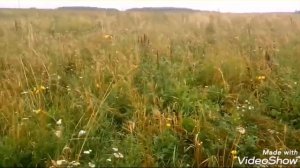 ТЕСТ ДРАЙВ ВАЗ 2131 НИВА (5 ДВЕРКА) ГРЕБЁТ ИЛИ НЕТ "ГРАЖДАНСКИЙ ТАНК" ???