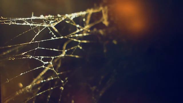 ANGELUS - MARIO BENEDETTI смотреть онлайн