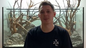 ЗАПУСК 200 литров. Кто я? #aquarium #аквариум #aquascape #акваскейп #сделайсам