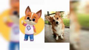 ??}Кошечки Собачки в реальной жизни // невероятная милота??