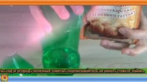 Как сделать ловушку для комаров своими руками из пустых пластиковых бутылок. Дачные хитрост