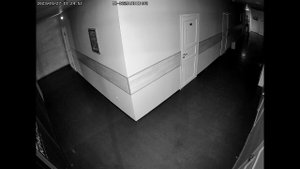 TR D2251WDIR4 v2 Ночь 2.8