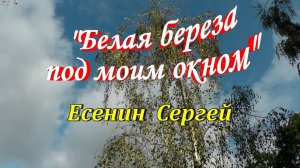 Стихотворение "Белая береза под моим окном" Есенин Сергей
