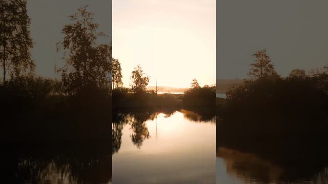 1000027072.mp4