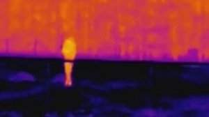 Testing My AGM Asp-Micro TM160 Thermal Imaging Monocular